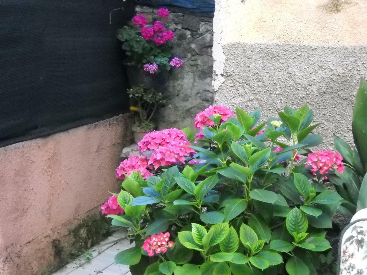 Apartament Stella Marina Delle 5 Terre Levanto Zewnętrze zdjęcie